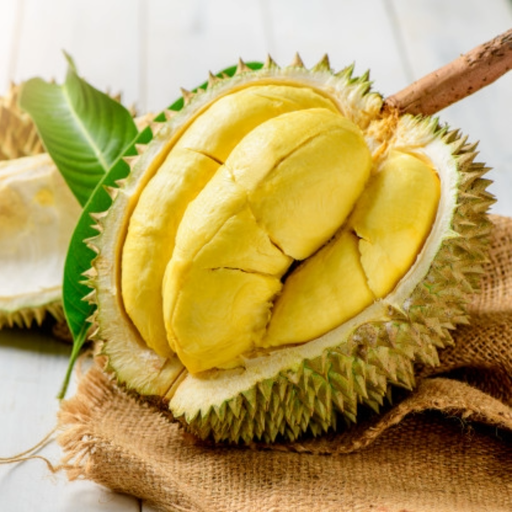 Durian Kane (Chanee) Original Indonesia