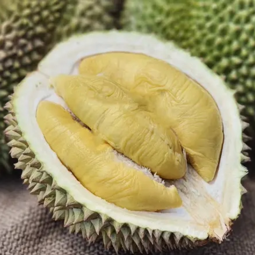 Durian Kane (Chanee) Lokal Indonesia